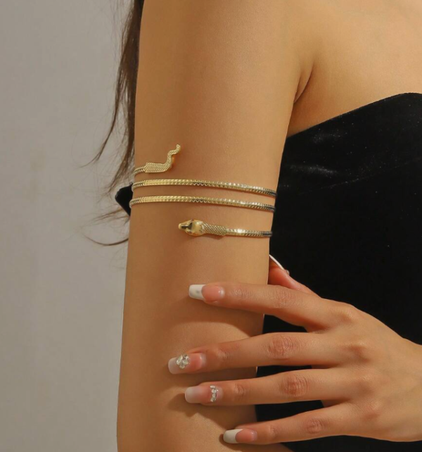 Fashionable Snake Shaped Wrap Armlet (5 Sets)