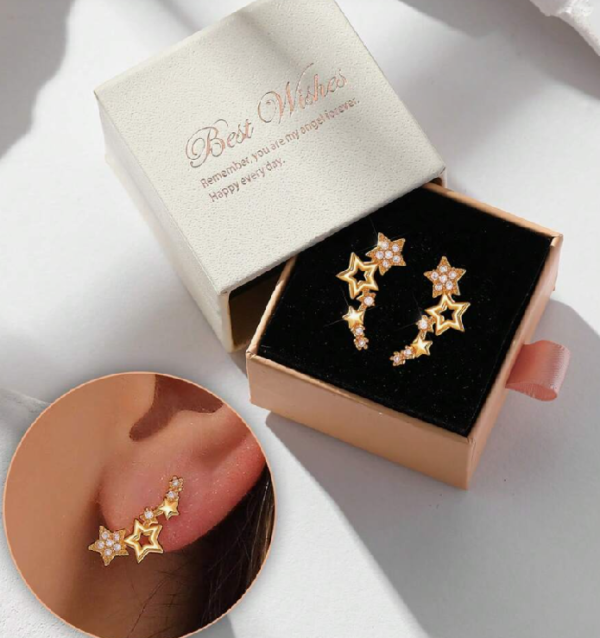 Elegant Cubic Zirconia Star Stud Earring (5 Sets)