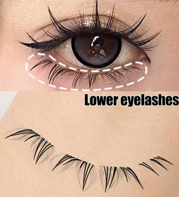 5 Pairs Transparent Stem Natural False Eyelashes (5 Sets)