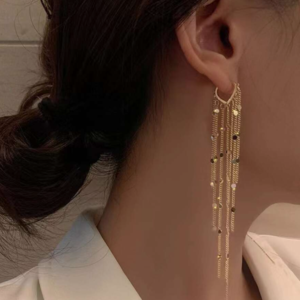 Metal Tassel Decor Drop Earring (10 Sets)