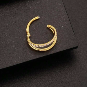 16g Titanium Alloy Cartilage Hoop Nose Ring (10 pieces)